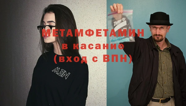 дмт Богданович