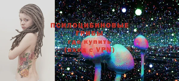 дмт Богданович