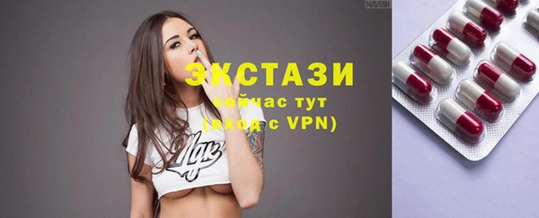 дмт Богданович
