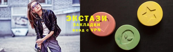 дмт Богданович