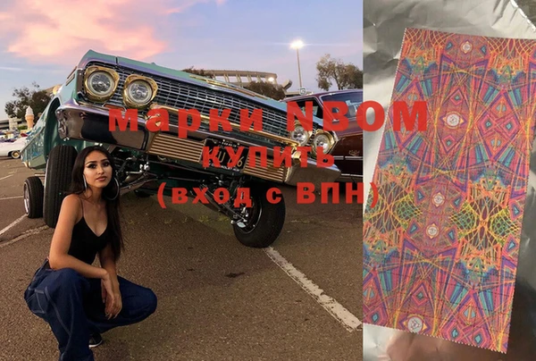 дмт Богданович