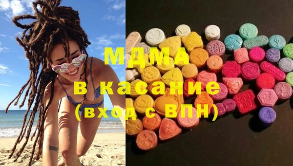 дмт Богданович