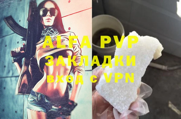 дмт Богданович