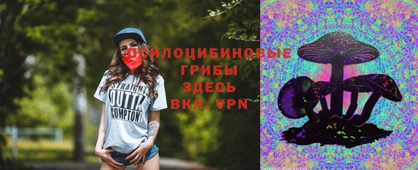 mix Богородск