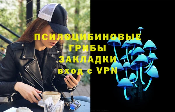 дмт Богданович
