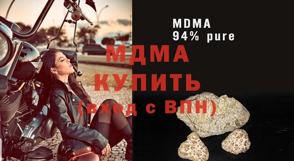 дмт Богданович