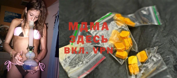 дмт Богданович