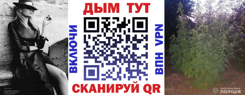 МАРИХУАНА сатива  Новошахтинск 